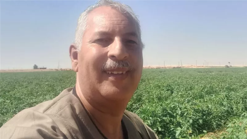 نقيب الفلاحين يكشف مفاجأة بشان «طماطم عضة الثعبان»