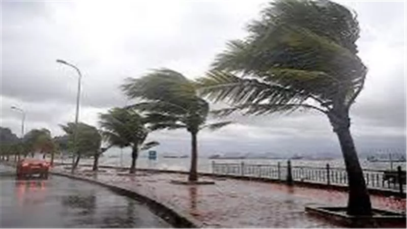 مائل للبرودة ..الأرصاد الجوية تعلن حالة الطقس خلال الـ 6 أيام المقبلة 