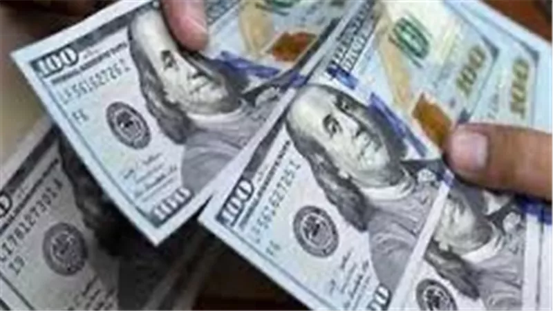 استقرار سعر الدولار أمام الجنيه المصري اليوم 10 ديسمبر 2024