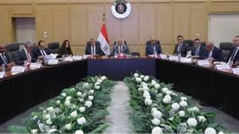 خطة متكاملة لتطوير شركة مصر للألومنيوم باستثمارات 250 مليون دولار