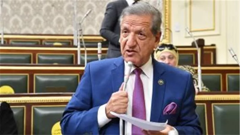 النواب» يوافق على قرض بملياري دولار من 3 بنوك أجنبية رسميا