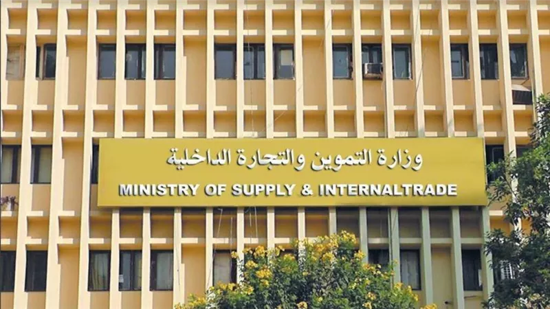 تعيين محمد عادل شتا مساعداً لوزير التموين للخدمات الرقمية