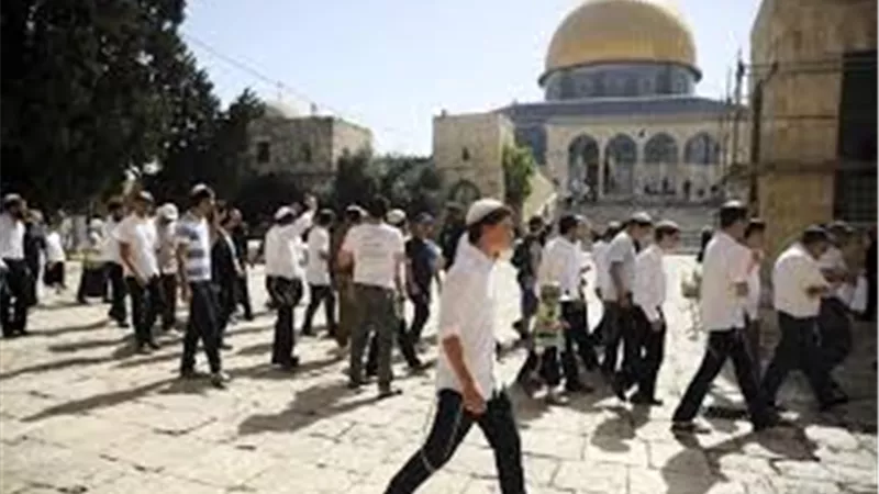 مستوطنون يقتحمون المسجد الأقصى بحماية شرطة الاحتلال الإسرائيلي
