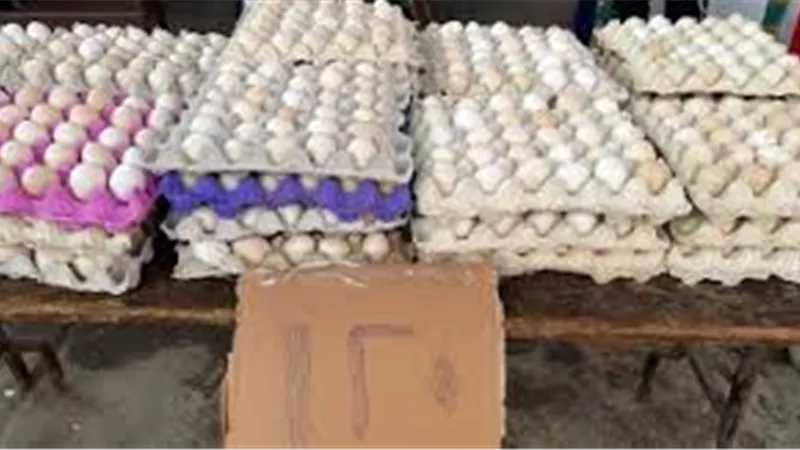 طرح كرتونة البيض البلدي بـ120 جنيها فى معرض محافظة الجيزة للسلع بالمنيب 