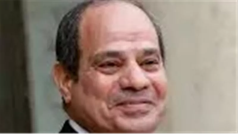 السيسي: أنبوبة البوتاجاز ثمنها 340 جنيه..وبنبيعها بـ150 جنيه