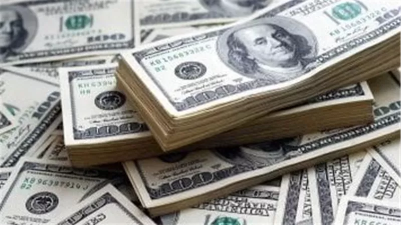  استقرار سعر الدولار اليوم الأحد 2-2-2025 أمام الجنيه المصري بمنتصف التعاملات