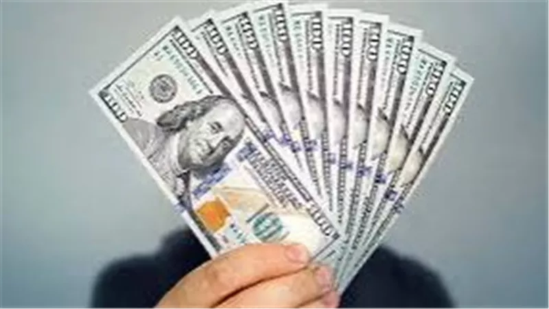 أسعار الدولار في مصر اليوم الأحد 19 يناير 2025 