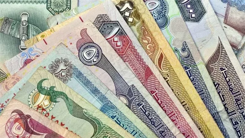 «بيغ ماك»: الجنيه المصري أقل من قيمته الحقيقية بـ53.6% وفقًا لمؤشر الإيكونوميست