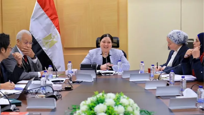 نائبة وزيرة التضامن الاجتماعي تلتقي بعثة هيئة التعاون الدولي اليابانية 