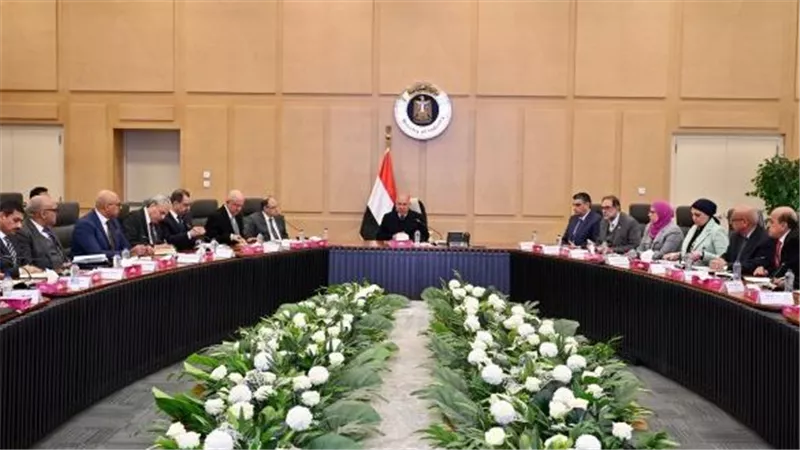 وزير الصناعة يترأس اجتماعًا لحل معوقات صناعة الأدوية في مصر  