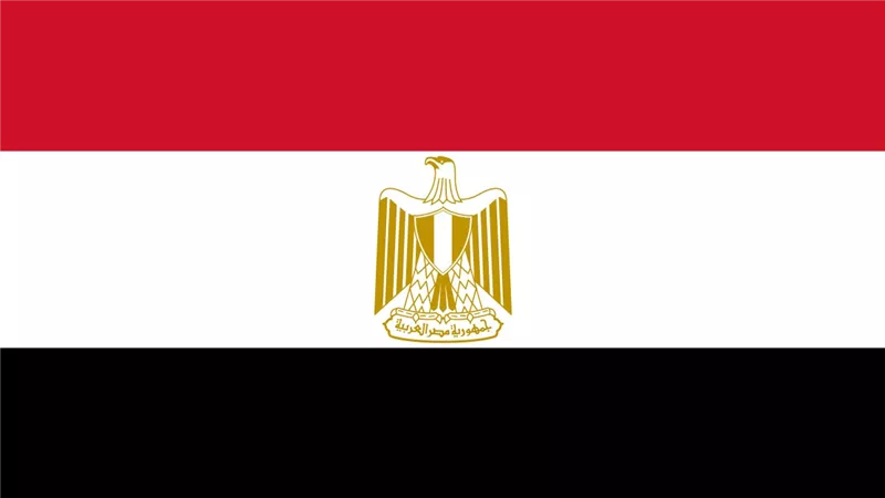 مصدر رفيع المستوى: لا صحة لوجود اتصال هاتفي بين الرئيس السيسي ونظيره الأمريكي