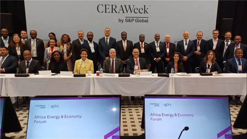 وزير البترول  يدعو إلى شراكات استراتيجية لتعزيز استثمارات الطاقة في أفريقيا