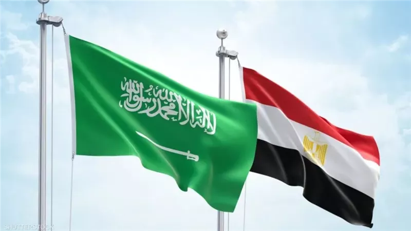 اتفاقية حماية الاستثمارات بين مصر والسعودية تُسهم في حل 85% من تحديات المستثمرين
