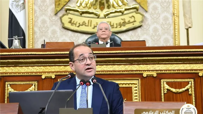وزير المالية: 160 مليار جنيه لدعم التموين و150 مليارًا للطاقة