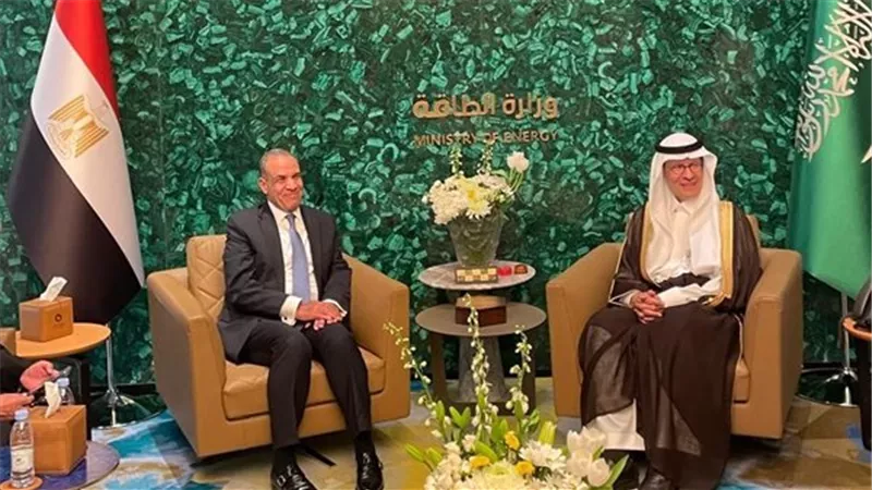 مصر والسعودية تبحثان تعزيز الشراكة الاستراتيجية في الطاقة والصناعة