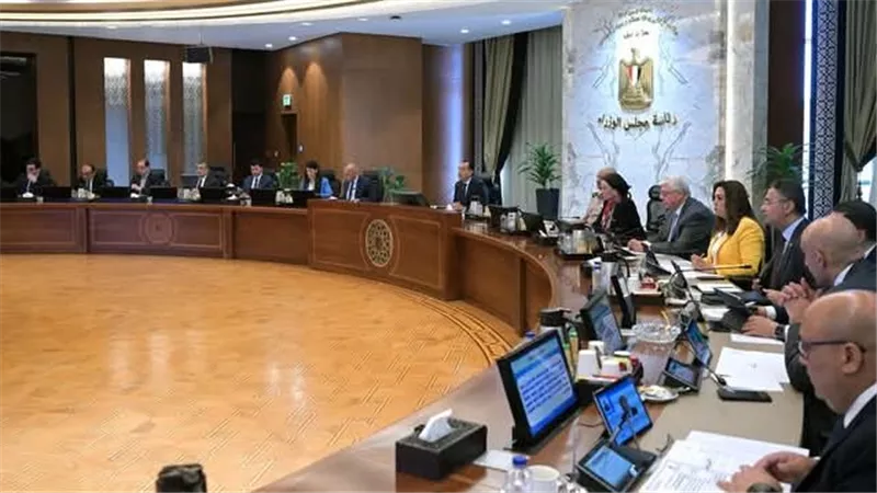 اتفاق لتأسيس شركتين بمليار و700 مليون جنيه لإنتاج الفيبربوليستر واللباد الصناعي 