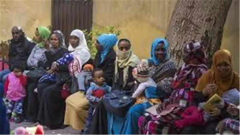 فخري الفقي: 6 مليارات دولار تكلفة استضافة اللاجئين والضيوف العرب في مصر