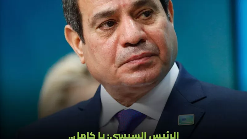 الرئيس السيسى يشدد على محاسبة المتسببين فى أزمة البنزين المغشوش