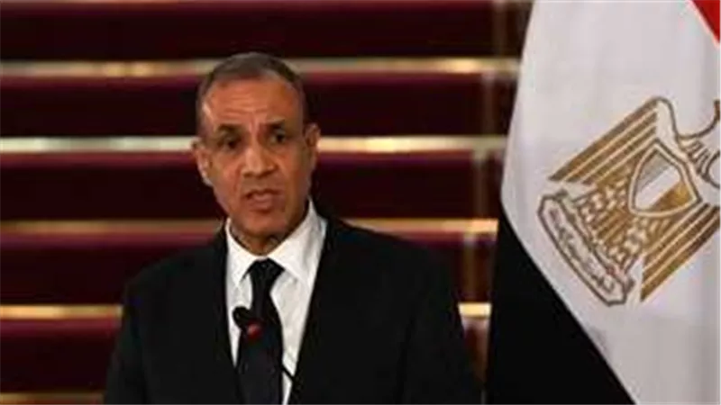 وزير الخارجية :مصر تدعو الشركات الأمريكية والأوروبية لمؤتمر إعمار غزة