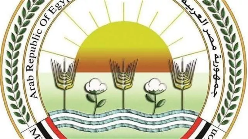  الزراعة تؤكد استقرار صناعة الدواجن في مصر وعدم تسجيل حالات نفوق 