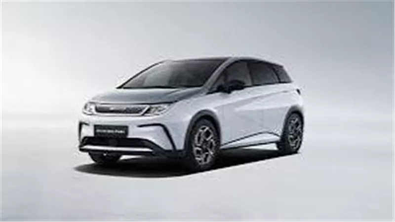 BYD تخطط لمضاعفة معارضها في أفريقيا 
