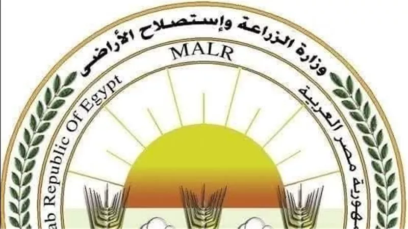 “الزراعة”: المجازر الحكومية تستقبل أكثر من 28 ألف أضحية خلال 3 أيام 