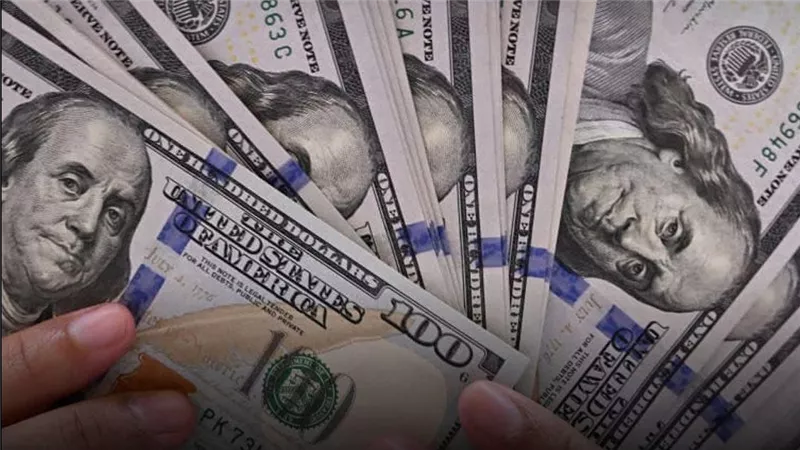 استقرار سعر الدولار في مصر اليوم السبت 5 يوليو 2025 