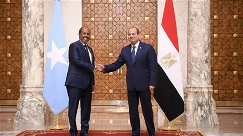 الرئيس السيسي يستقبل رئيس الصومال.. ويؤكد دعم مصر لاستقرار القرن الأفريقي