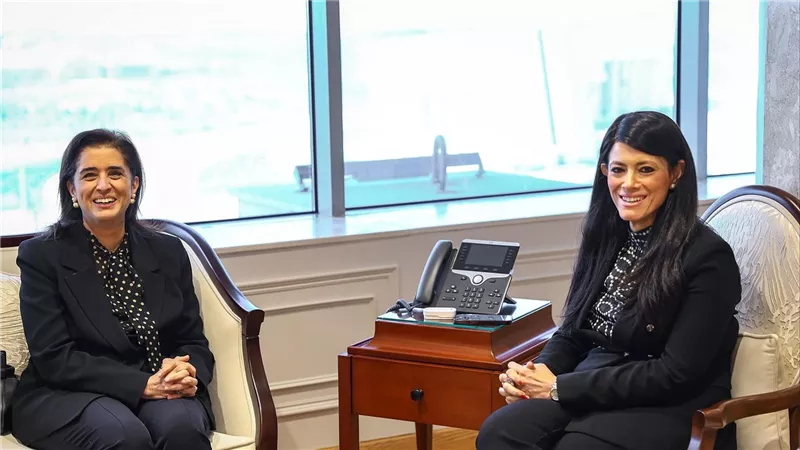 المشاط تبحث مع “الصحة العالمية” إدماج البُعد الصحي في السياسات العامة وخطة التنمية متوسطة المدى