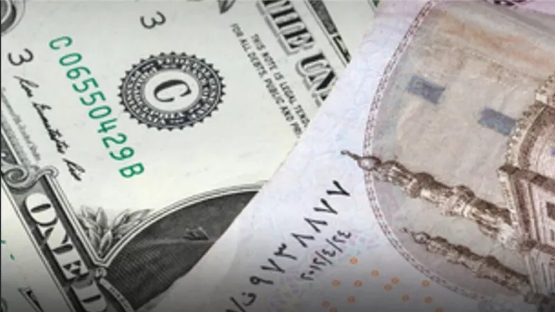 استقرار سعر الدولار أمام الجنيه عند 49 جنيهًا في البنوك المصرية