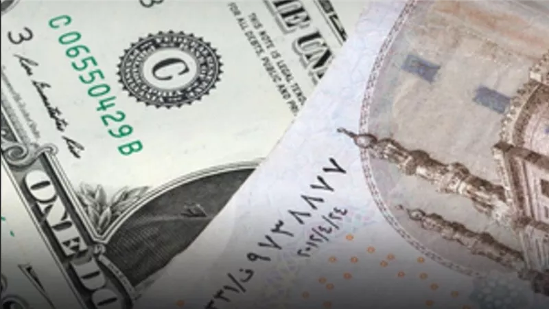 استقرار سعر الدولار في بداية تعاملات أغسطس..و48.74 جنيه أعلى سعر للبيع