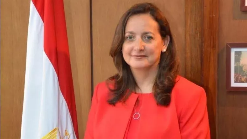 تجديد عضوية الدكتورة شريفة شريف بلجنة خبراء الإدارة العامة بالأمم المتحدة 
