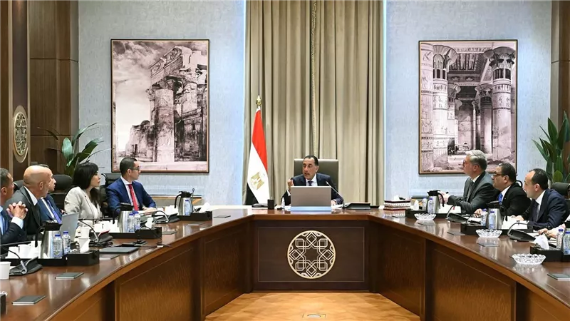 مجلس الوزراء يستعرض مشروعًا لاستغلال مواقع خام الرمال الكاولينية 