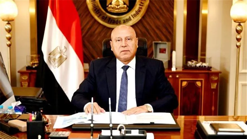 وزارة الصناعة تستعرض مزايا الطرح الاستثنائى لـ36 مصنعا جاهزا للتشغيل الفوري