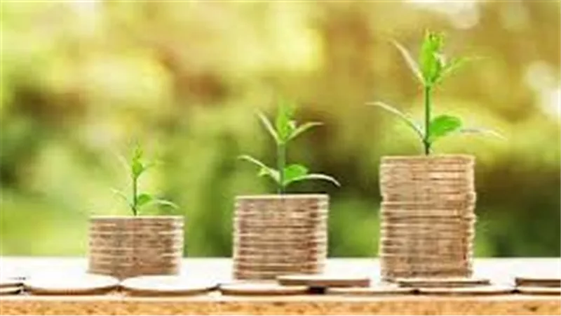 “جو جرين” تسجل تراجعًا في أرباحها وإيراداتها بالنصف الأول 2025 