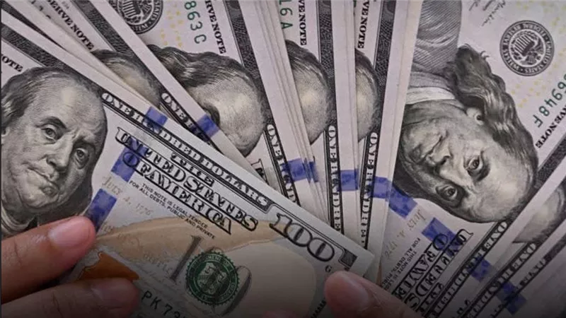 استقرار سعر الدولار في البنوك المصرية اليوم الجمعة 15 أغسطس 2025