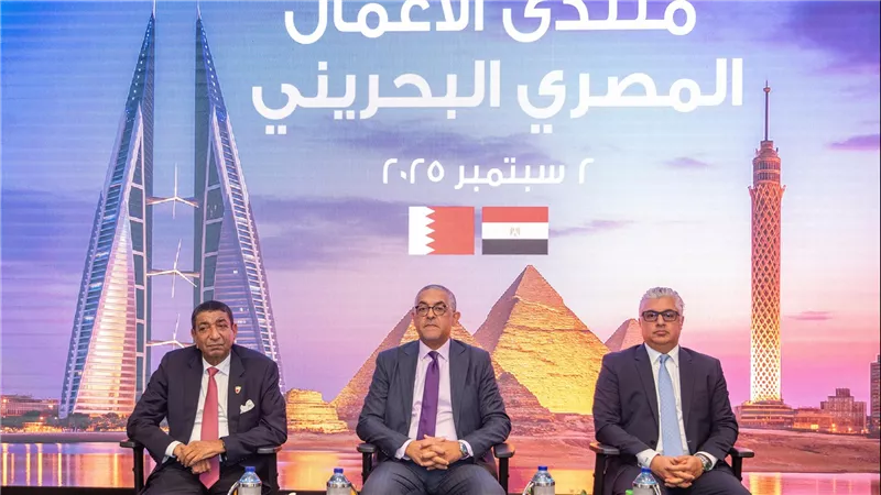 حسام هيبة :مصر تستهدف 12 مليار دولار استثمارات أجنبية مباشرة بنهاية 2025