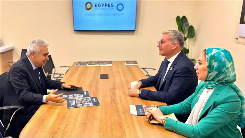 وزير البترول يبحث تعزيز التعاون مع المدير التنفيذي لوكالة الطاقة الدولية