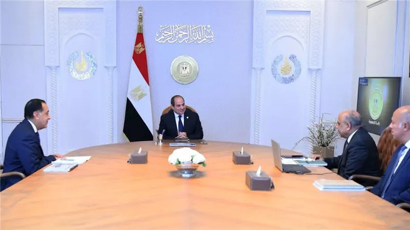 السيسي يوجّه بتوسيع الاعتماد على الطاقة المتجددة وتطوير الشبكة القومية للكهرباء