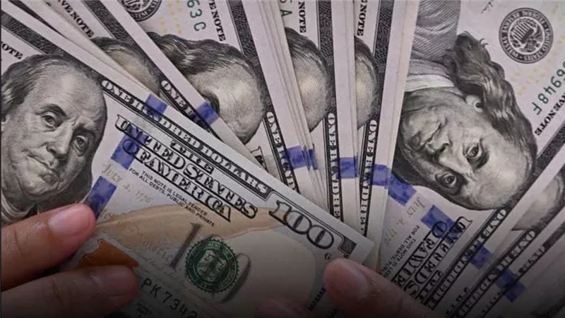 استقرار سعر الدولار مقابل الجنيه المصري اليوم الاثنين 22 سبتمبر 2025