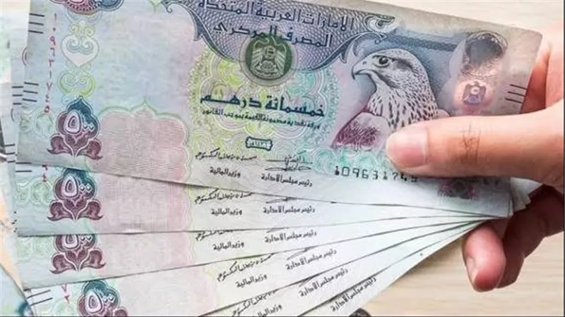 تباين حركة الدرهم الإماراتي أمام العملات العربية والأجنبية في تعاملات اليوم