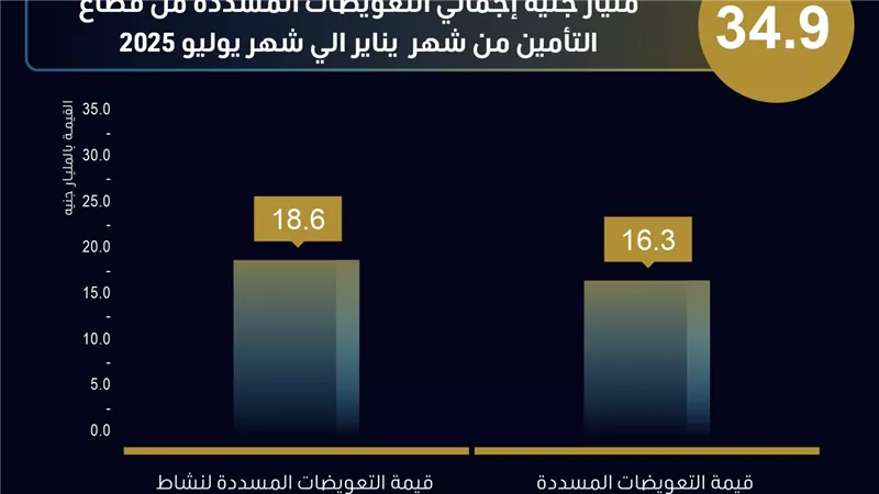 773 مليار جنيه تمويلًا من الجهات الخاضعة لرقابة “الرقابة المالية” حتى نهاية يوليو 2025