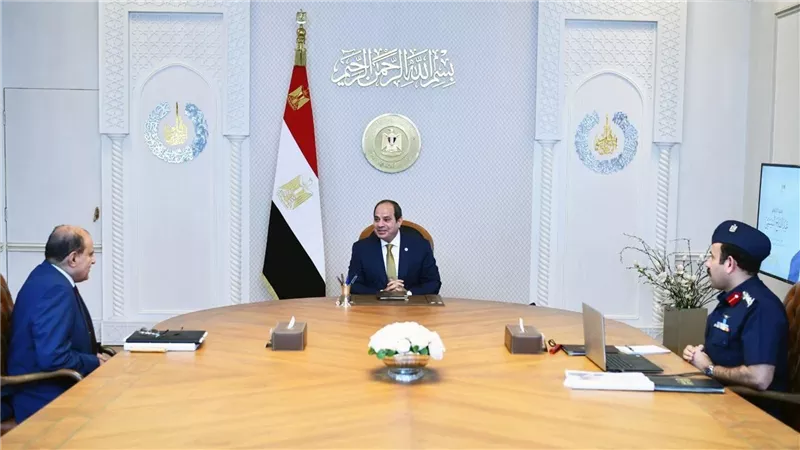 السيسي يوجّه بالإسراع في استكمال التغذية الكهربائية لمشروع “الدلتا الجديدة” 