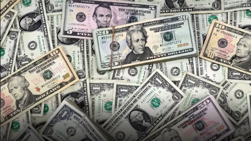 استقرار سعر الدولار مقابل الجنيه في تعاملات اليوم الجمعة 24 أكتوبر 2025