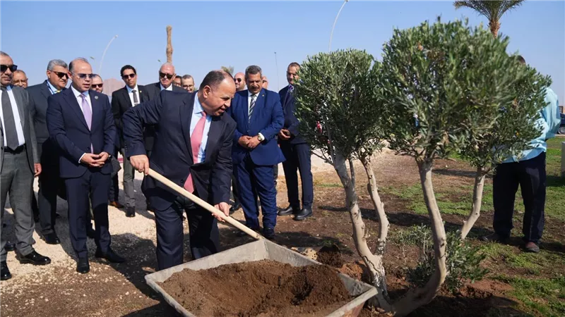 الرقابة المالية تواصل جهودها لخفض الانبعاثات عبر مبادرة تشجير في شرم الشيخ