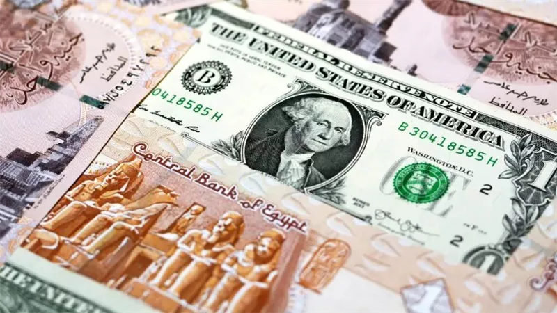 7.1 تريليون جنيه إجمالي استثمارات البنوك في الأوراق المالية وأذون الخزانة