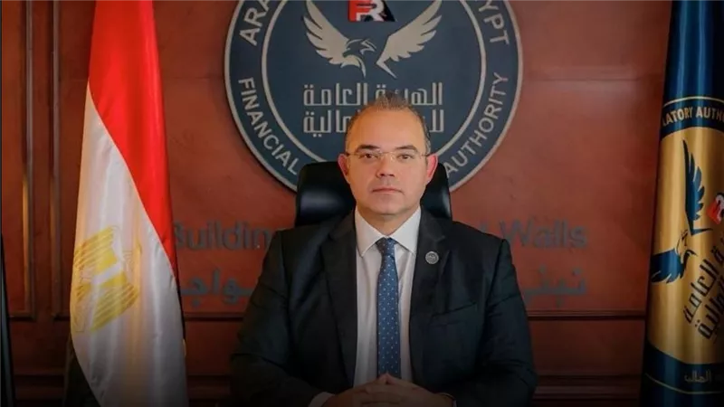 الرقابة المالية: 13.5 مليار جنيه تمويلات للمشروعات الصغيرة والمتوسطة