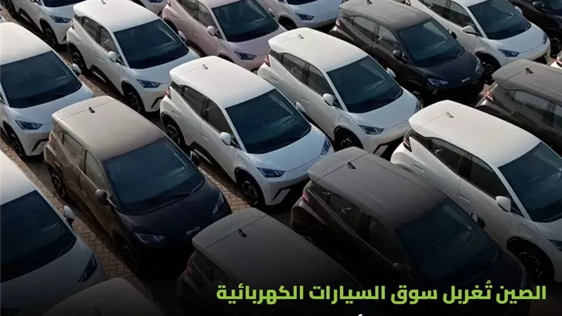 وزيرة التنمية المحلية تصدر تعليمات جديدة لإخلاء معارض السيارات أسفل المباني السكنية