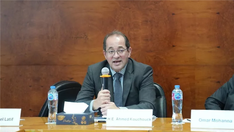 وزير المالية:تقديم إقرار ضريبي واحد ومبسط مهما تعددت العقارات.. والاعتداد بالسداد 