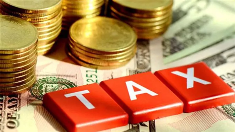 14.5% نمواً بمتحصلات الضرائب على التجارة الدولية بـ 7.7 مليار جنيه فى خمسة أشهر